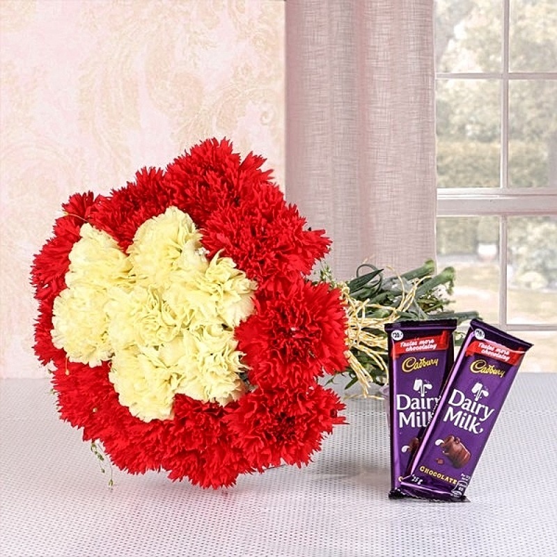 Carnation Celebrations
