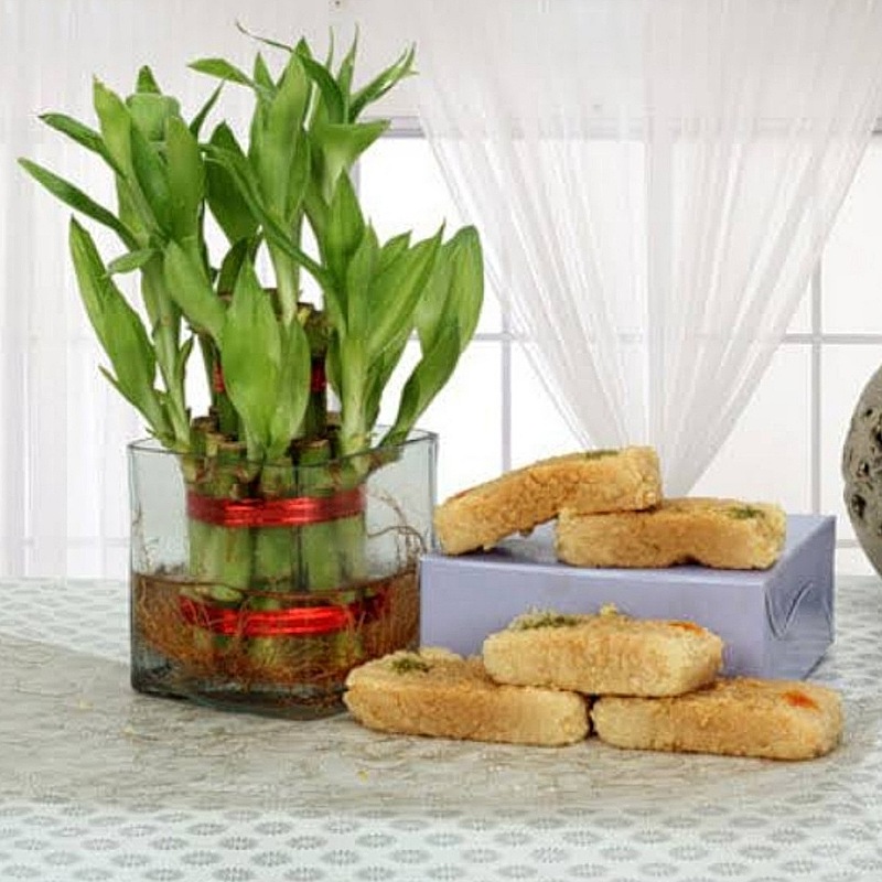Combo of Happiness Diwali Gifts